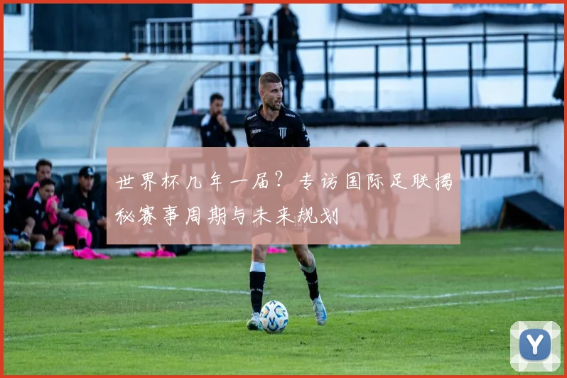 世界杯几年一届？专访国际足联揭秘赛事周期与未来规划