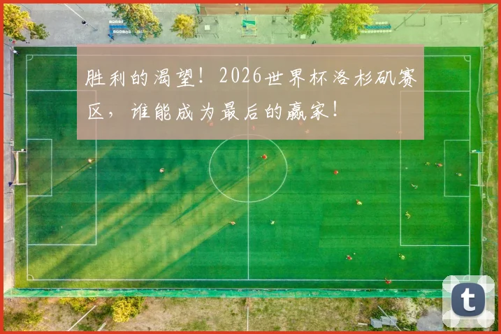 胜利的渴望！2026世界杯洛杉矶赛区，谁能成为最后的赢家！