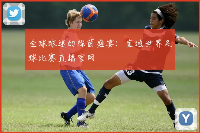 全球球迷的绿茵盛宴：直通世界足球比赛直播官网