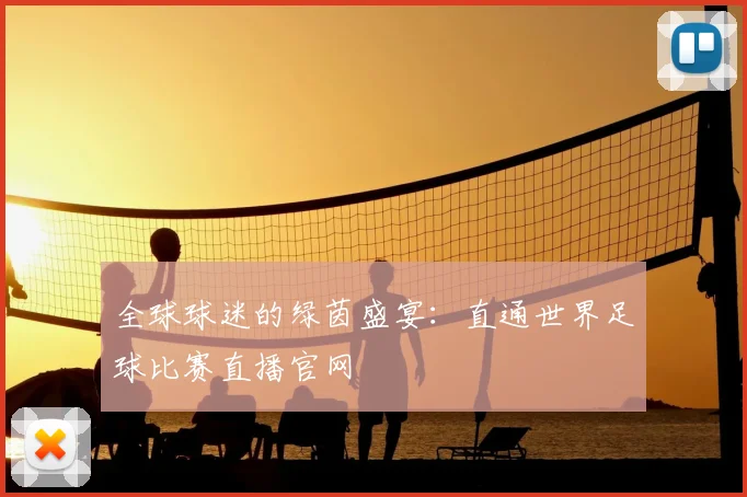 全球球迷的绿茵盛宴：直通世界足球比赛直播官网